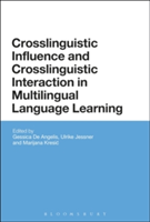 Crosslinguistic Influence and Crosslinguistic Interaction in Multilingual Language Learning |