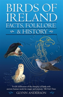 Birds of Ireland | Glynn Anderson