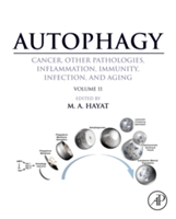 Autophagy: Cancer, Other Pathologies, Inflammation, Immunity, Infection, and Aging |