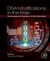DNA Modifications in the Brain |