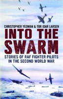 Into the Swarm | Tor Idar Larsen