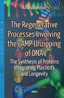 Regenerative Processes Involving the Camp Unzipping of DNA |