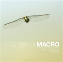 Mastering Macro Photography | David Taylor
