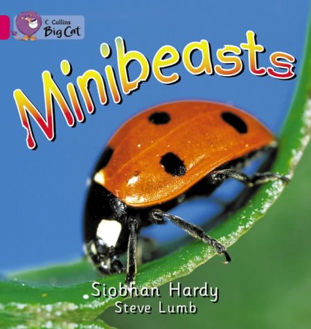 Minibeasts | Siobhan Hardy