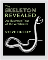 The Skeleton Revealed | Steve (Western Kentucky University) Huskey