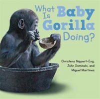 What Is Baby Gorilla Doing? | Christena Nippert-Eng, John Dominiski, Miguel Martinez
