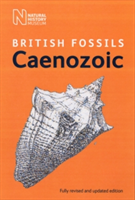 British Cenozoic Fossils | Natural History Museum