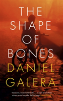 The Shape of Bones | Daniel Galera