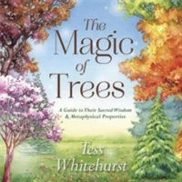 The Magic of Trees | Tess Whitehurst