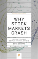 Why Stock Markets Crash | Didier Sornette