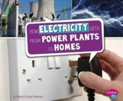 How Electricity Gets from Power Plants to Homes | Megan Cooley Peterson