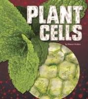 Plant Cells | Mason Anders