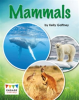 Mammals | Kelly Gaffney
