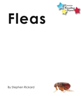 Fleas | Stephen Rickard