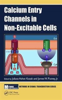 Calcium Entry Channels in Non-Excitable Cells |