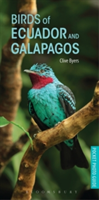 Birds of Ecuador and Galapagos | Clive Byers