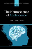 The Neuroscience of Adolescence | Adriana Galvan