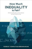 How Much Inequality Is Fair? | Venkat (Columbia University) Venkatasubramanian