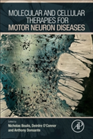 Molecular and Cellular Therapies for Motor Neuron Diseases |