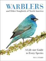 Warblers and Other Songbirds of North America | Paul Sterry