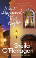 What Happened That Night | Sheila O\'Flanagan