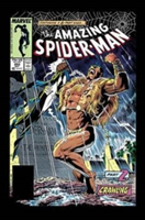 Amazing Spider-man Epic Collection: Kraven\'s Last Hunt | Peter David, David Michelinie, J. M. DeMatteis