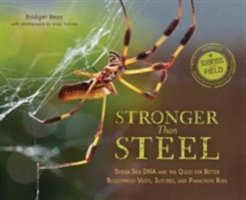 Stronger Than Steel | Bridget Heos, Andy Comins