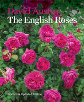 The English Roses | David Austin