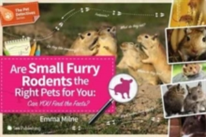 Are Small Furry Rodents the Right Pet for You | Emma Milne