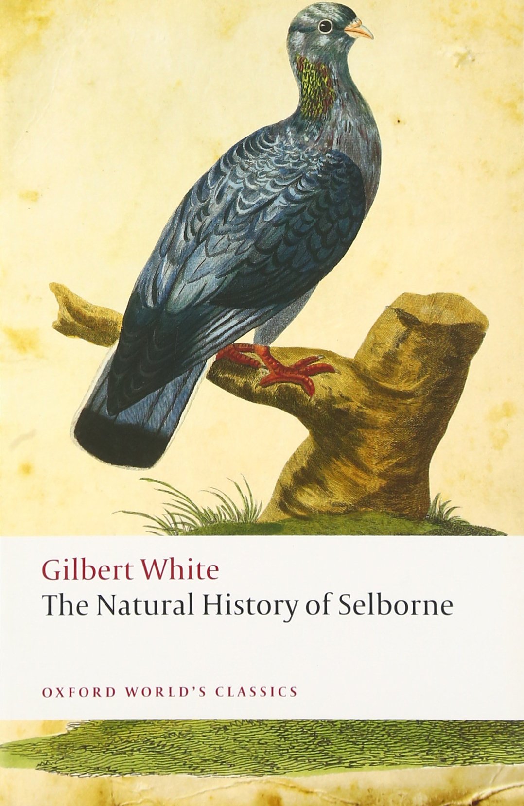 The Natural History of Selborne | Gilbert White - 1 | YEO