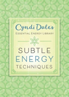 Subtle Energy Techniques | Cyndi Dale