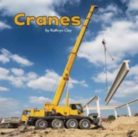 Cranes | Kathryn Clay