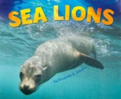 Sea Lions | Elizabeth R. Johnson
