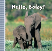Hello, Baby! | Sterling Children\'s Books