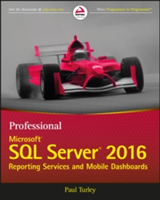 Professional Microsoft SQL Server 2016 Reporting Services and Mobile Reports | Paul Turley