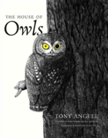 The House of Owls | Tony Angell