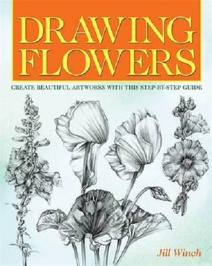 Drawing Flowers | Jill Winch