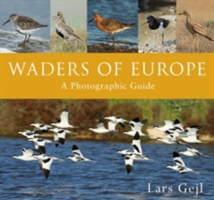 Waders of Europe | Lars Gejl