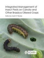 Integrated Management of Insect Pests on Canola and Other Brassica Oilseed Crop |