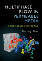Multiphase Flow in Permeable Media | London) Technology and Medicine Martin J. (Imperial College of Science Blunt