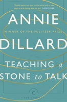 Teaching a Stone to Talk | Annie Dillard