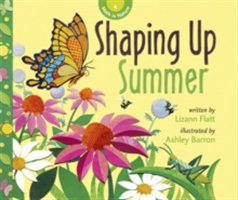 Maths in Nature: Shaping Up Summer | Lizann Flatt