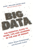 Big Data | Viktor Mayer-Schonberger, Kenneth Cukier