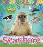 My First Book of Nature: Seashore | Victoria Munson