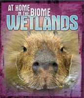 At Home in the Biome: Wetlands | Louise Spilsbury, Richard Spilsbury