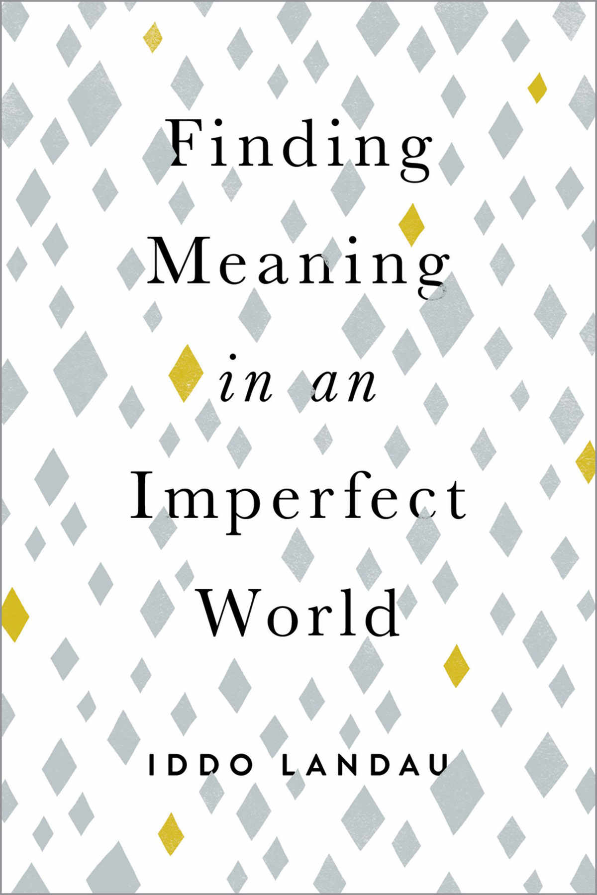 Finding Meaning in an Imperfect World | Iddo Landau