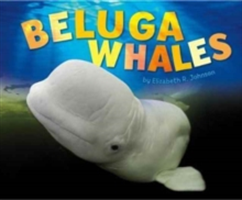 Beluga Whales | Elizabeth R. Johnson