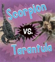 Scorpion vs. Tarantula | Isabel Thomas