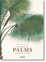 Martius: The Book of Palms | Berlin) Dr H Walter (Botanical Garden and Museum Lack