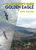 A Fieldworker\'s Guide to the Golden Eagle | Dave Walker